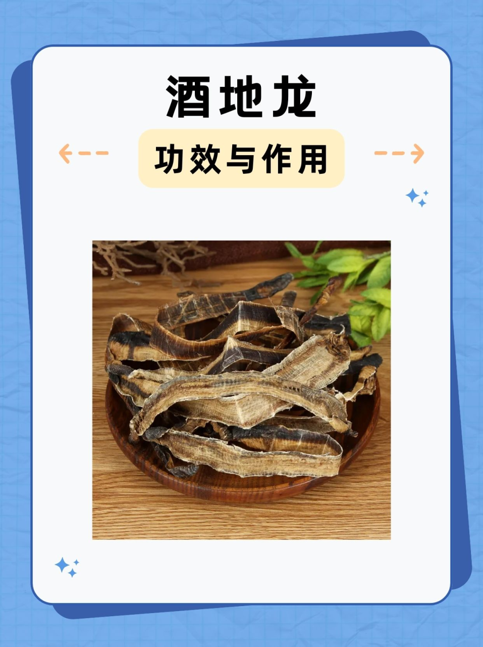 地龙的常见用途与使用方法