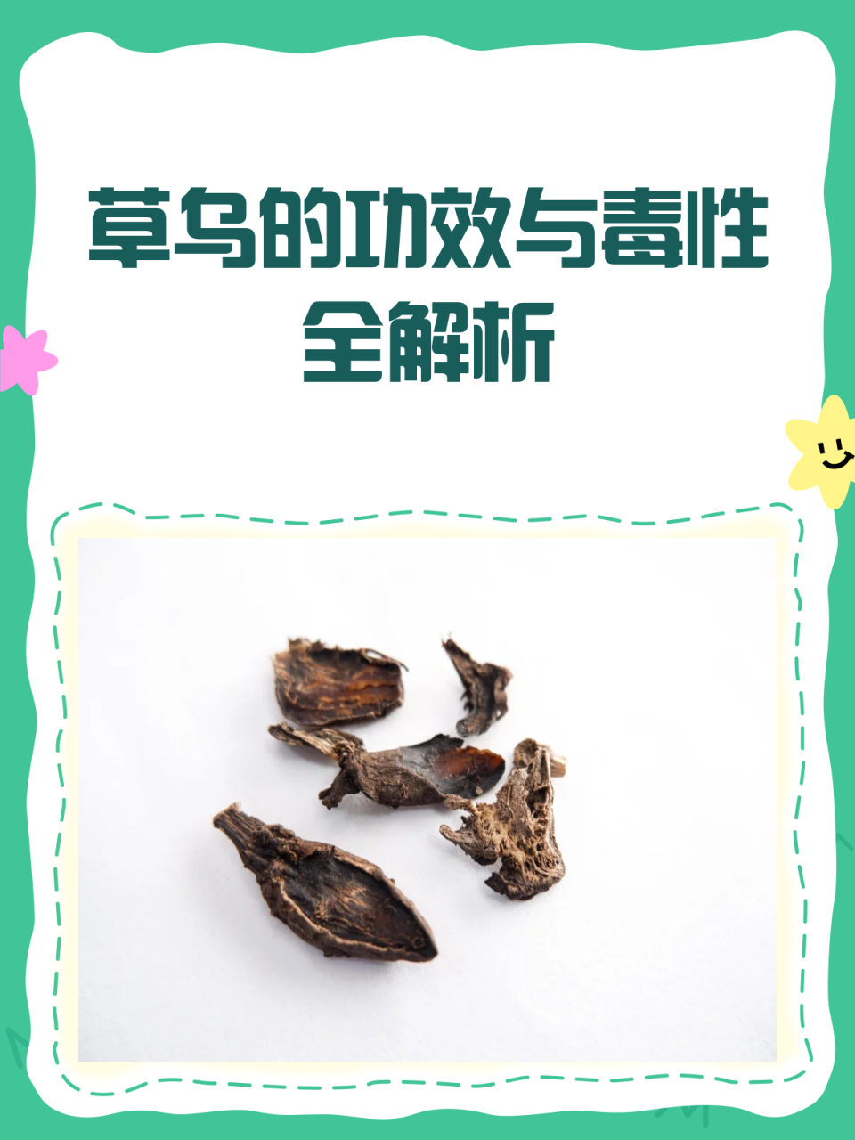 草乌的常见用途与注意事项