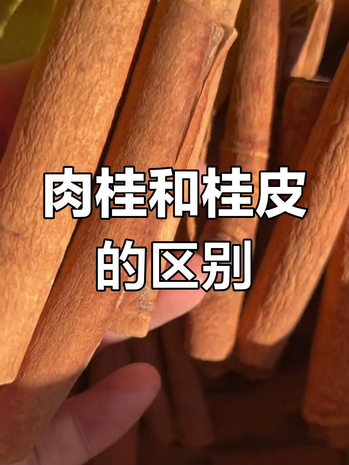 日常生活中的点滴用途