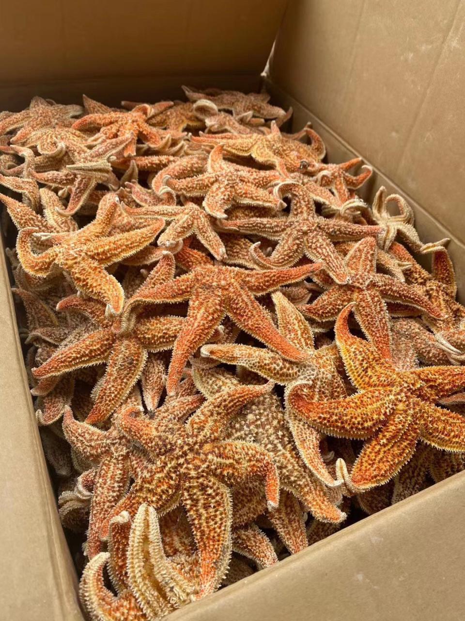 对身体健康的多重益处