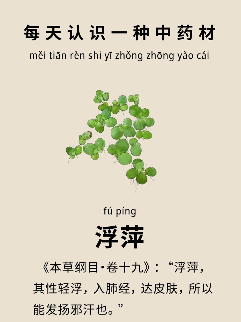 利尿通淋,改善水肿