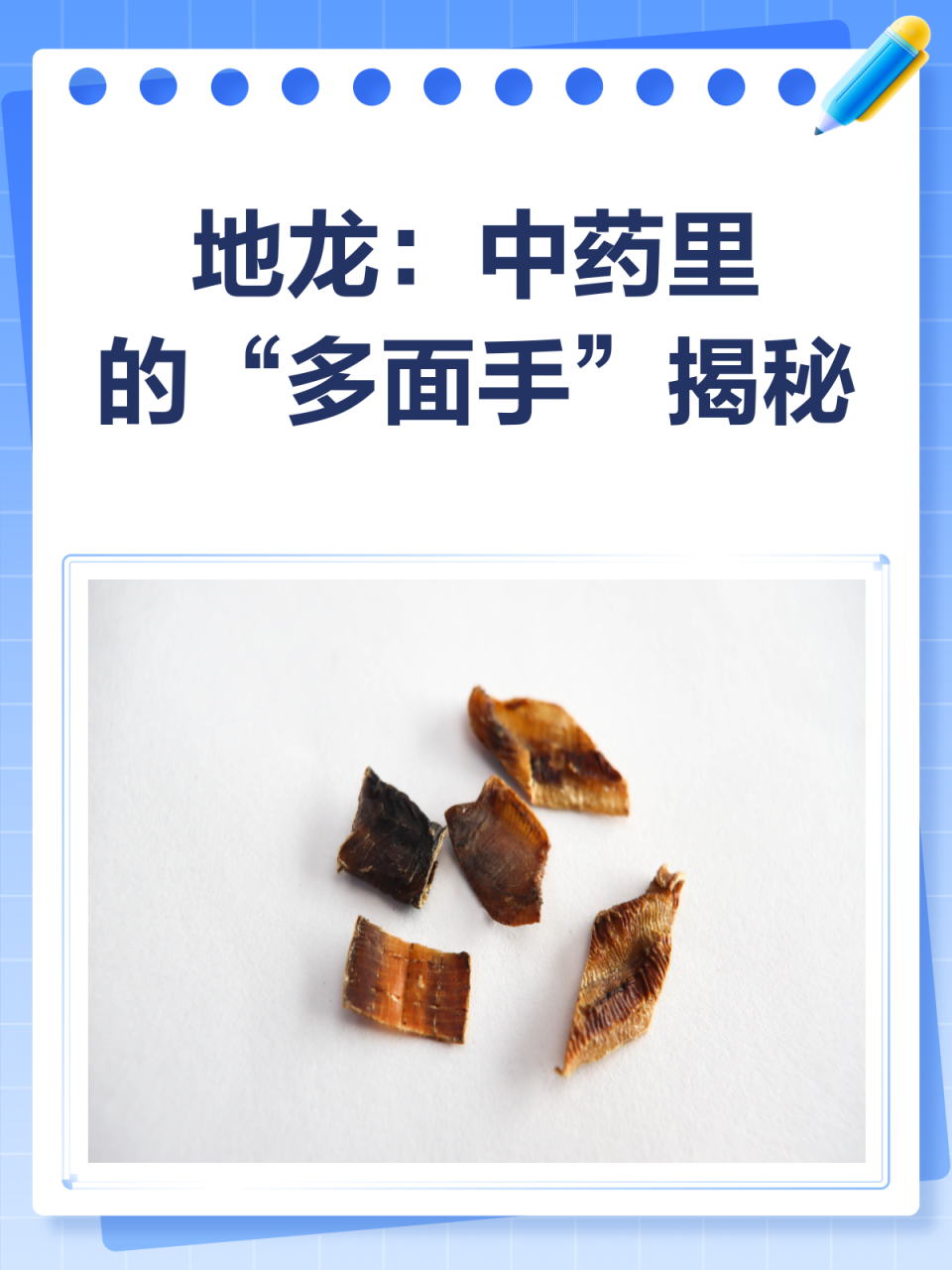 地龙的现代研究与前景