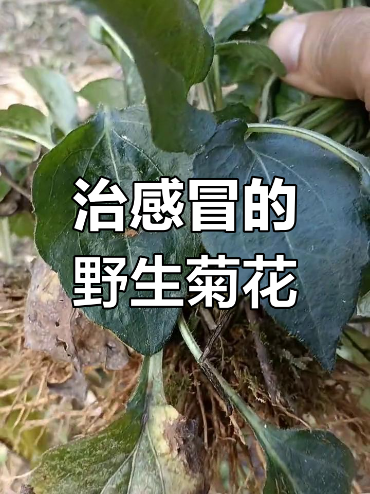 小编