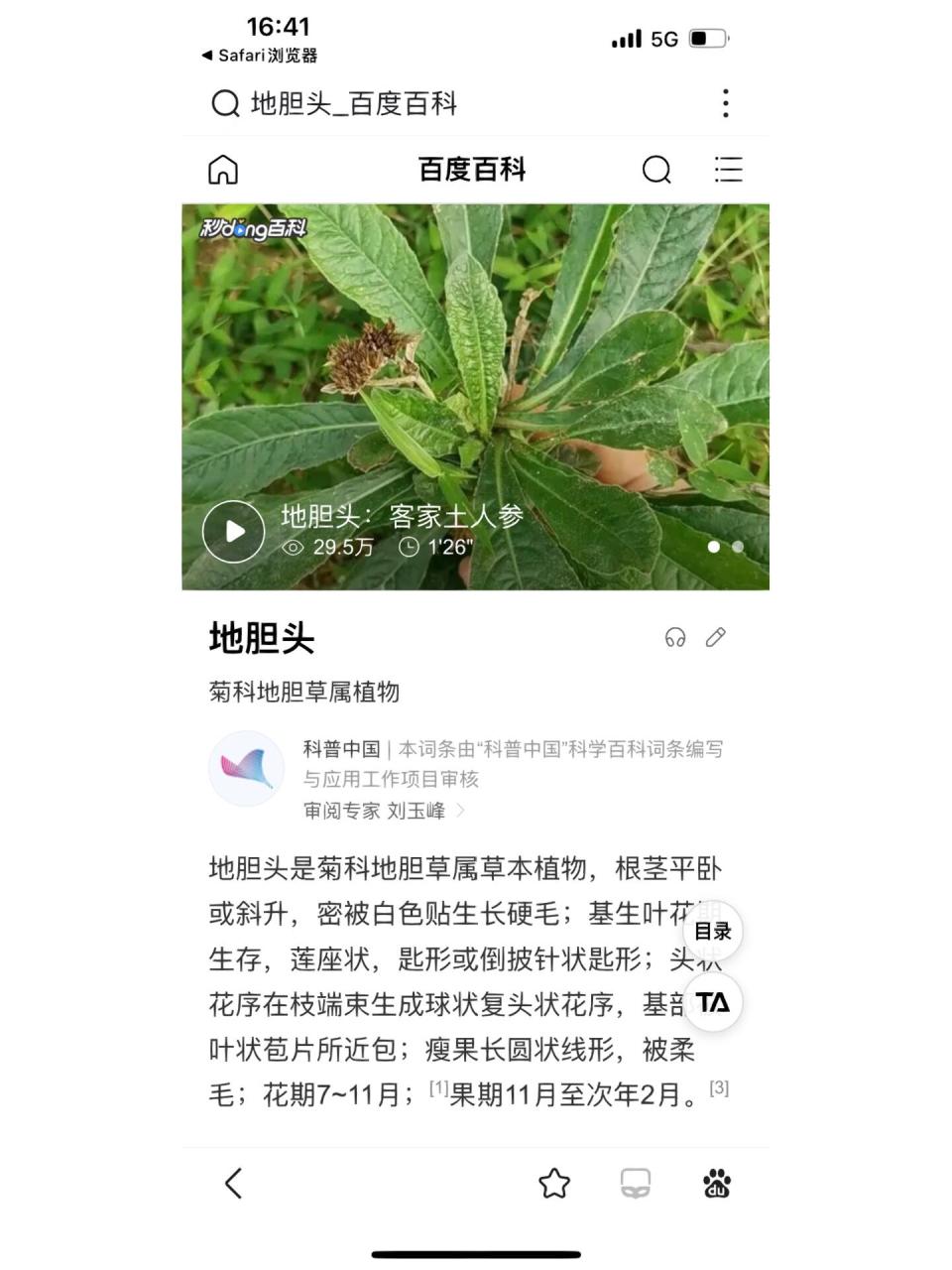 如何正确使用地胆头?