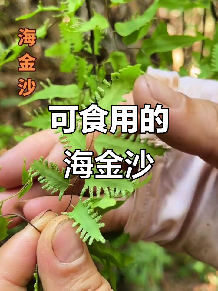 日常日常生活中的运用