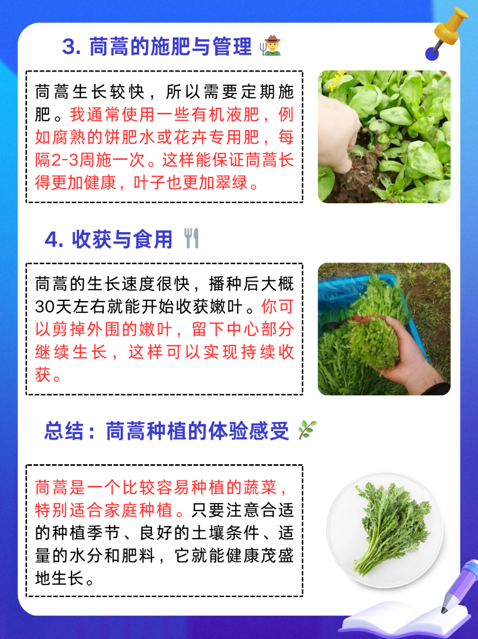 清热解毒,适合夏季食用