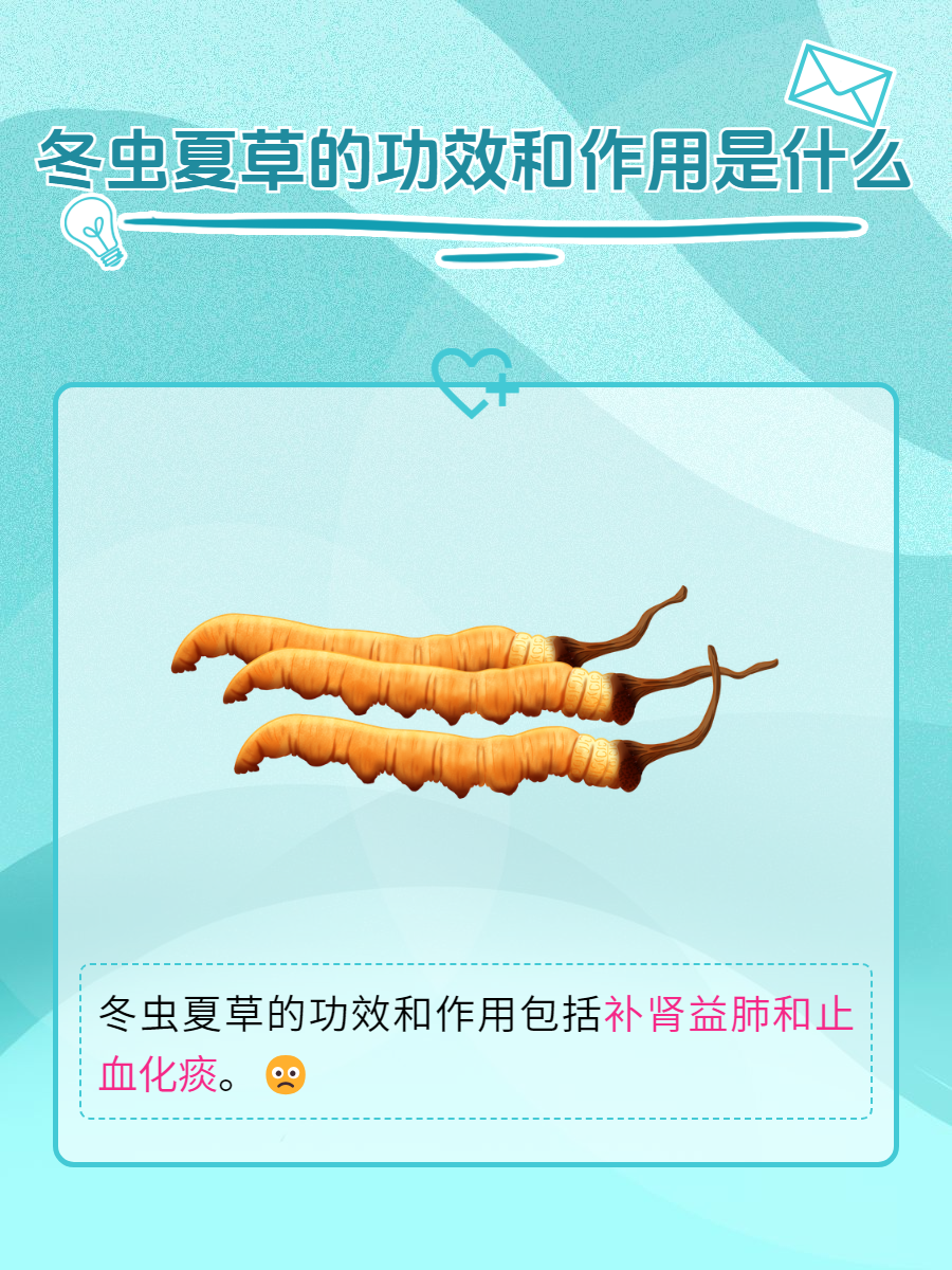 适合人群广泛,搭配更佳