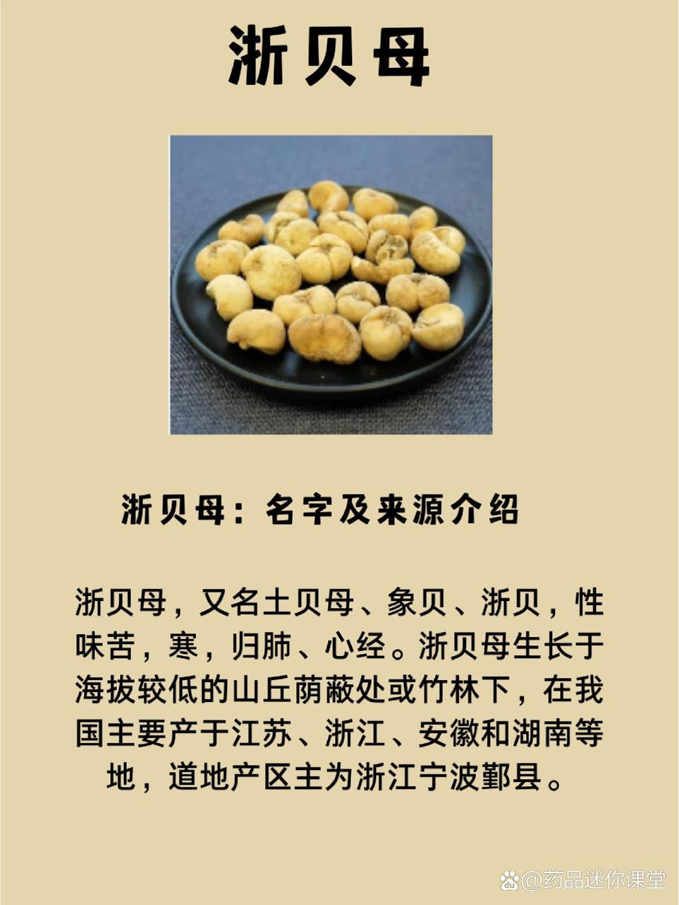 增强免疫力,改善体质