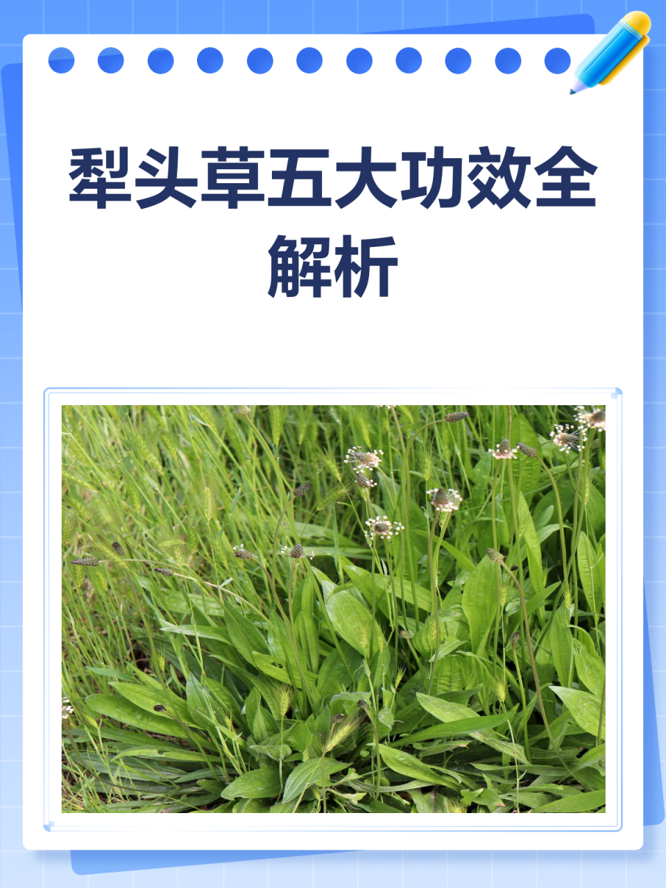 日常保健的小帮手