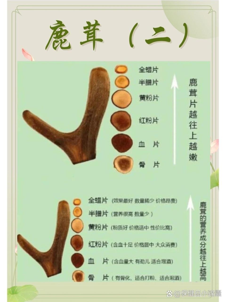 如何正确使用鹿茸