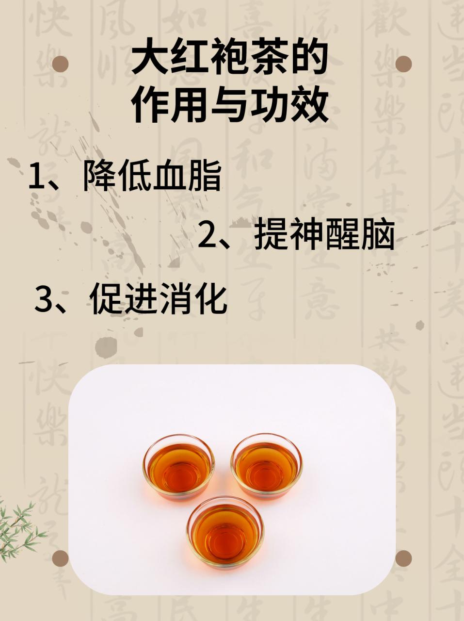 大红袍，不只是茶，更是一种生活方式