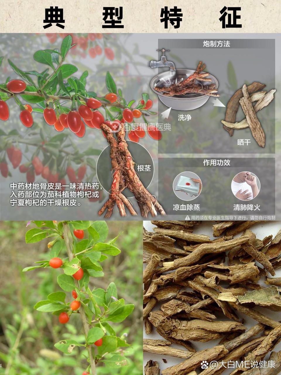 抗炎抗氧化,延缓衰老