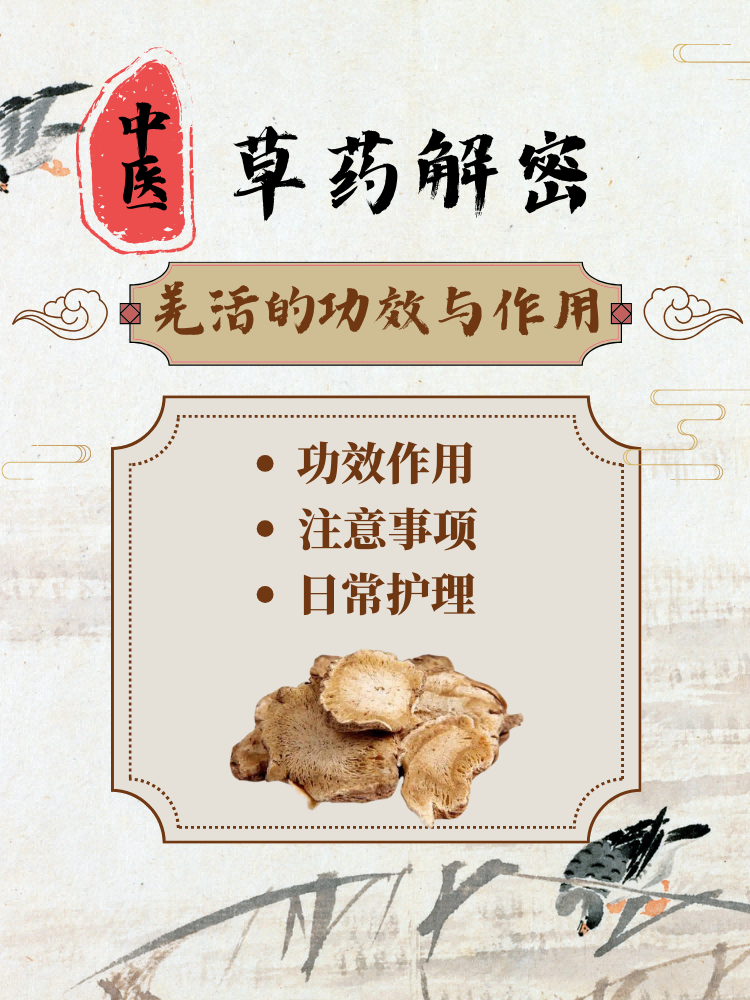 羌活的常见应用