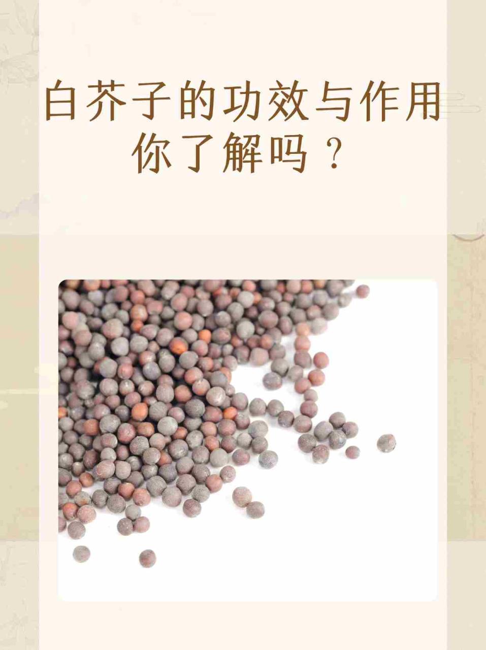 日常应用与食用建议