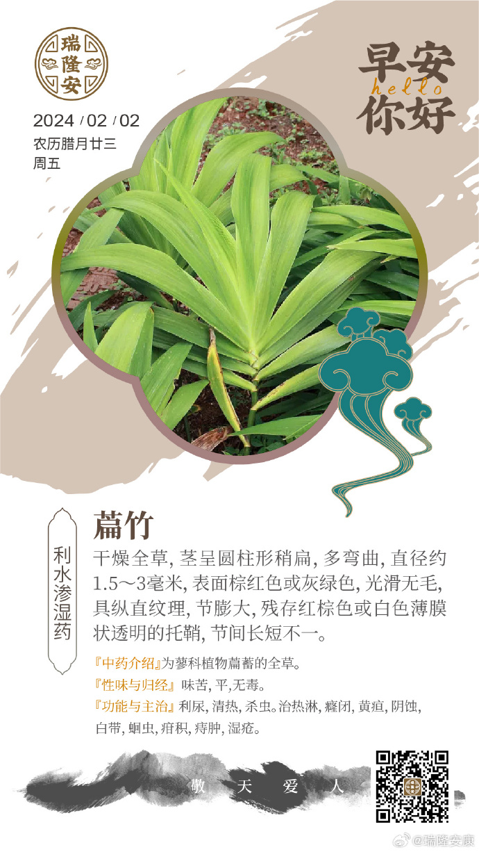 常见用途与使用方法