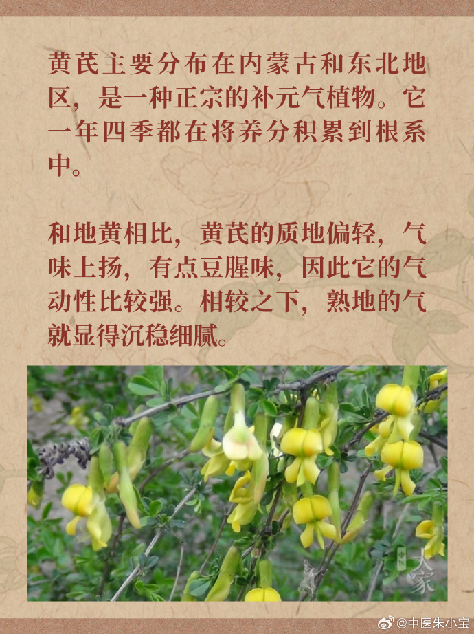 日常食疗,简单又实用