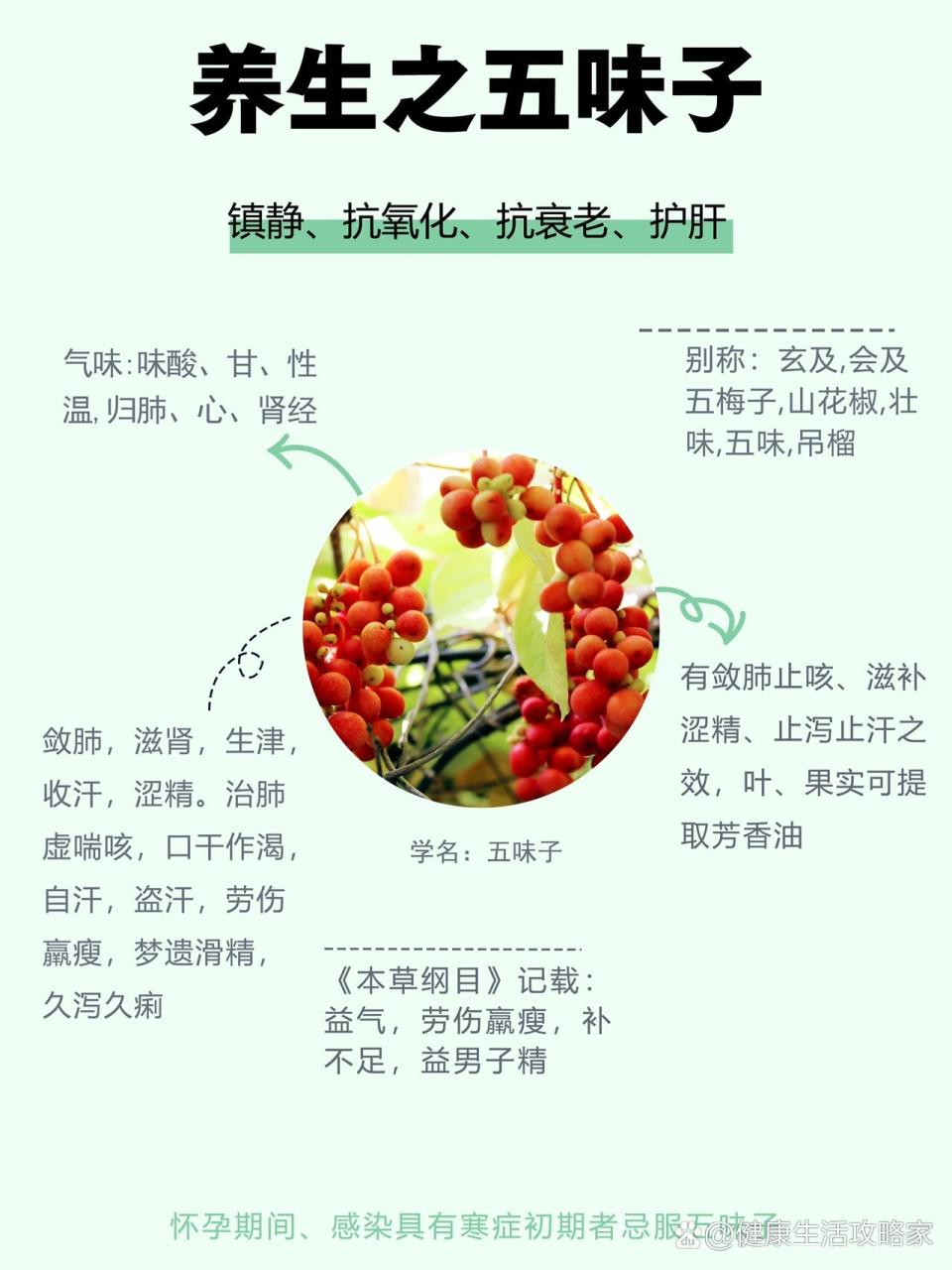 提高免疫力,延缓衰老