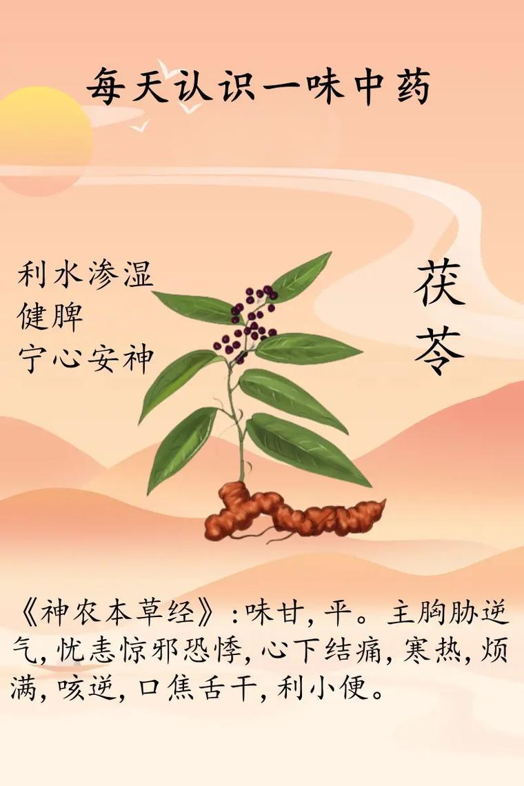 健康益处不容小觑