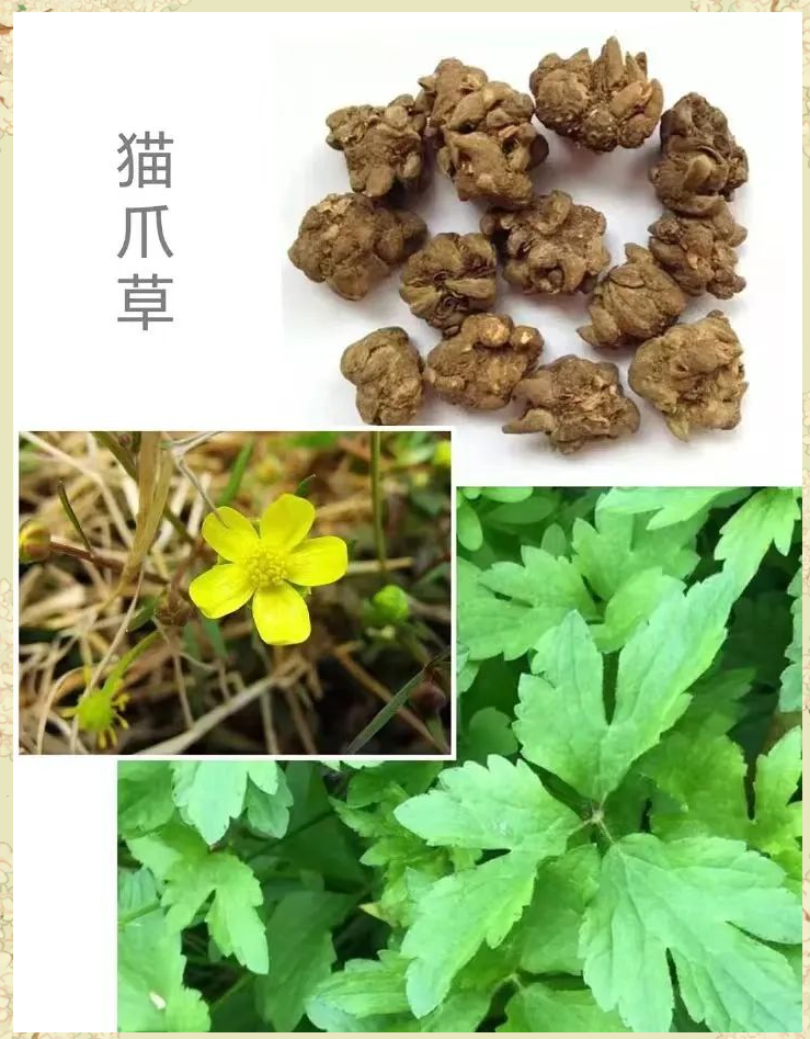 主要用途多种多样,可以信赖