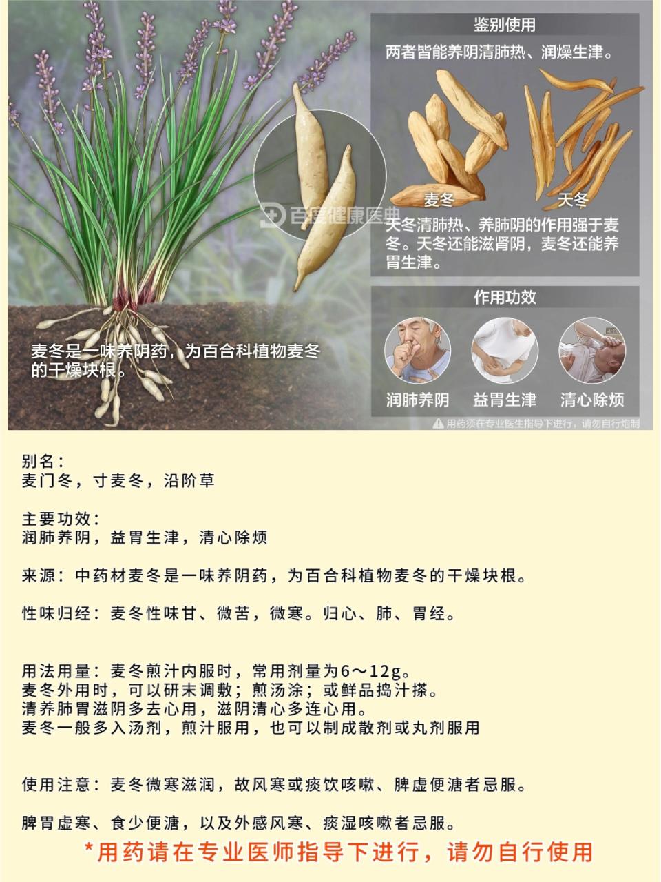 增强免疫力,延缓衰老