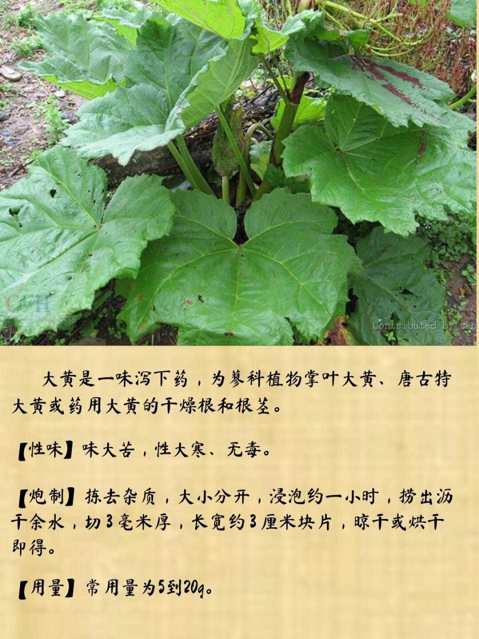 使用需谨慎,遵循医嘱