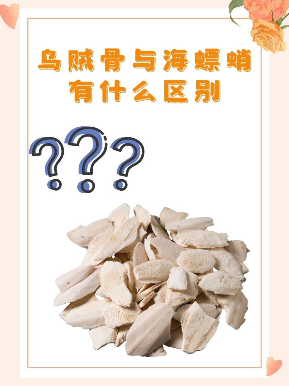 乌贼骨的现代研究与应用