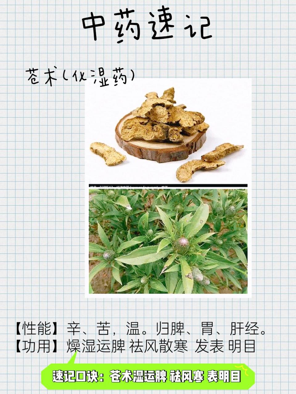 常见用途与搭配