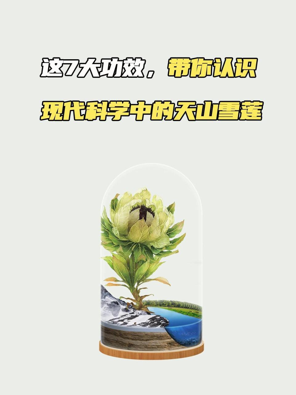 选择与食用建议