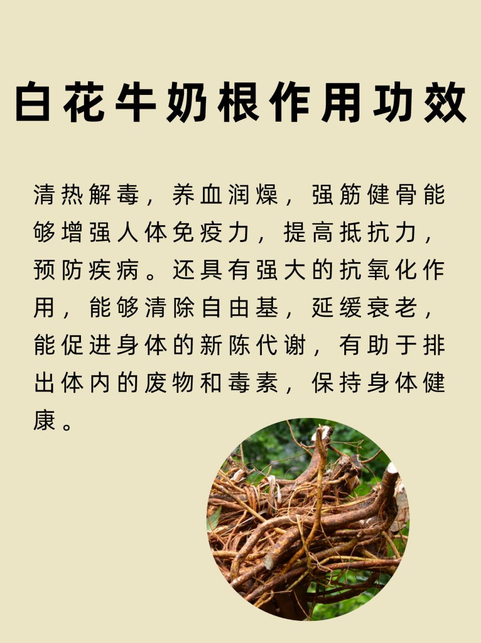 有助于增强抵抗力和免疫能力