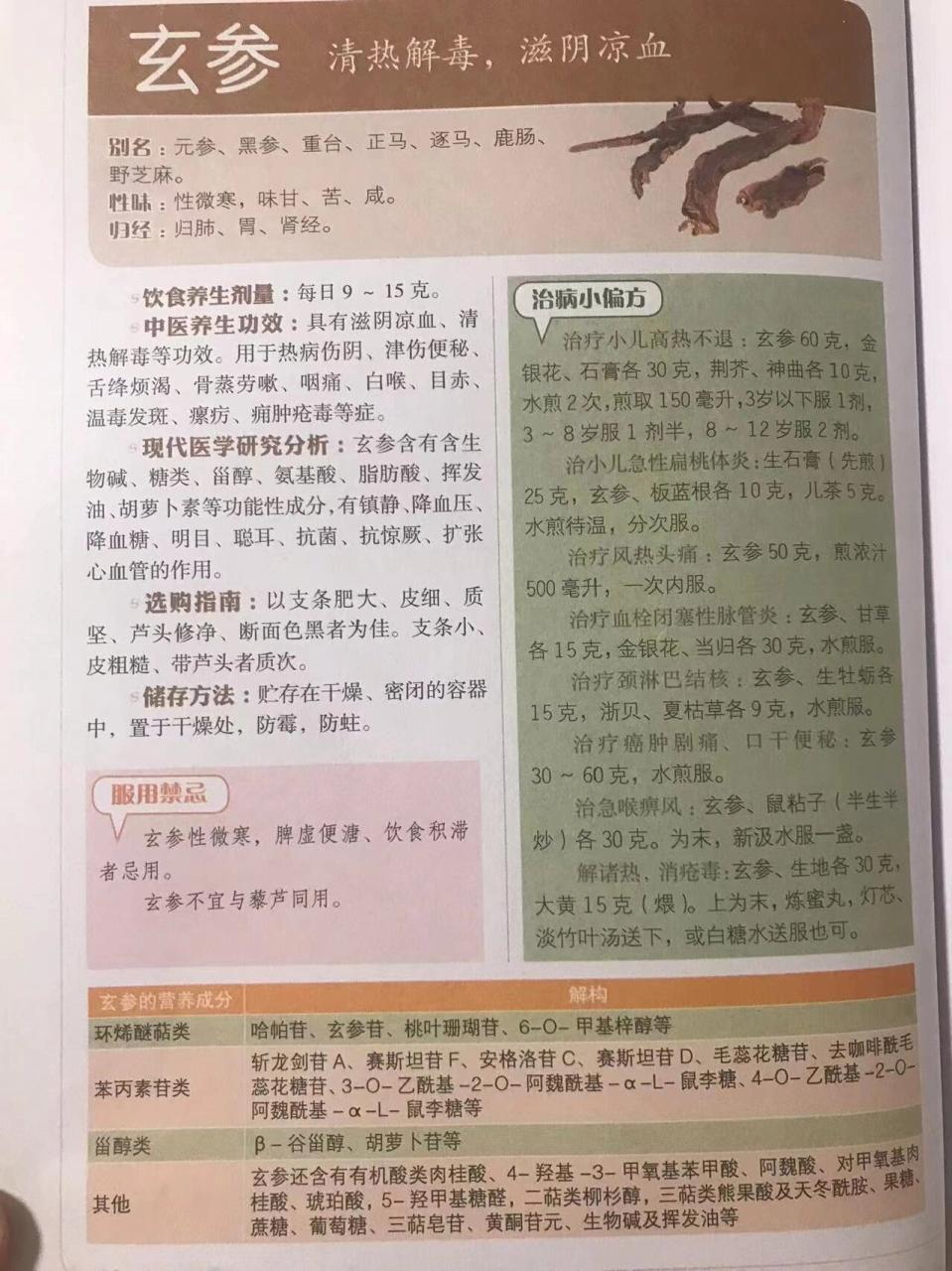 抗炎抗菌,增强免疫力