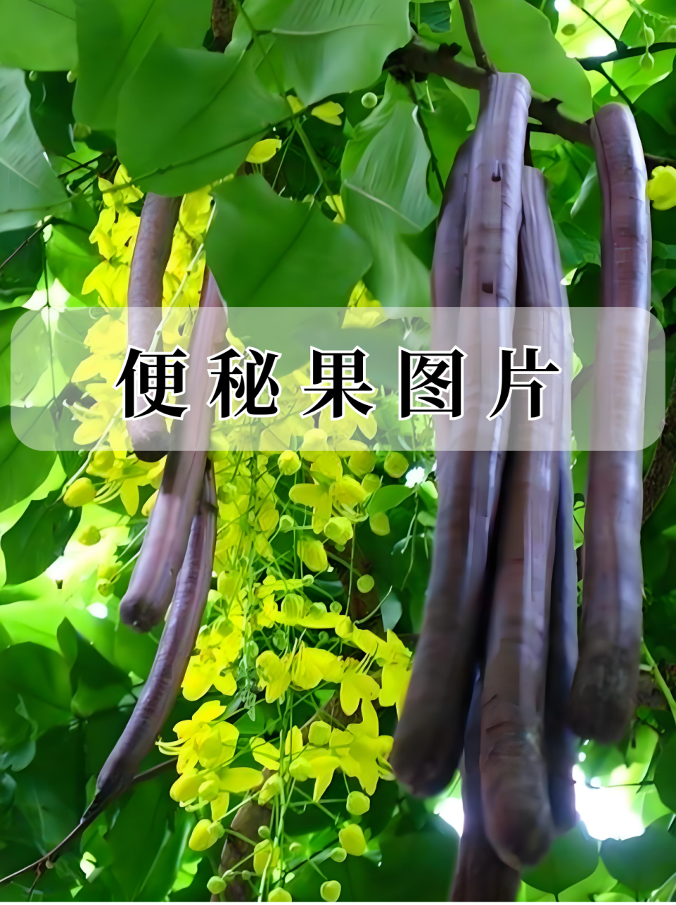 潜在副作用不容忽视