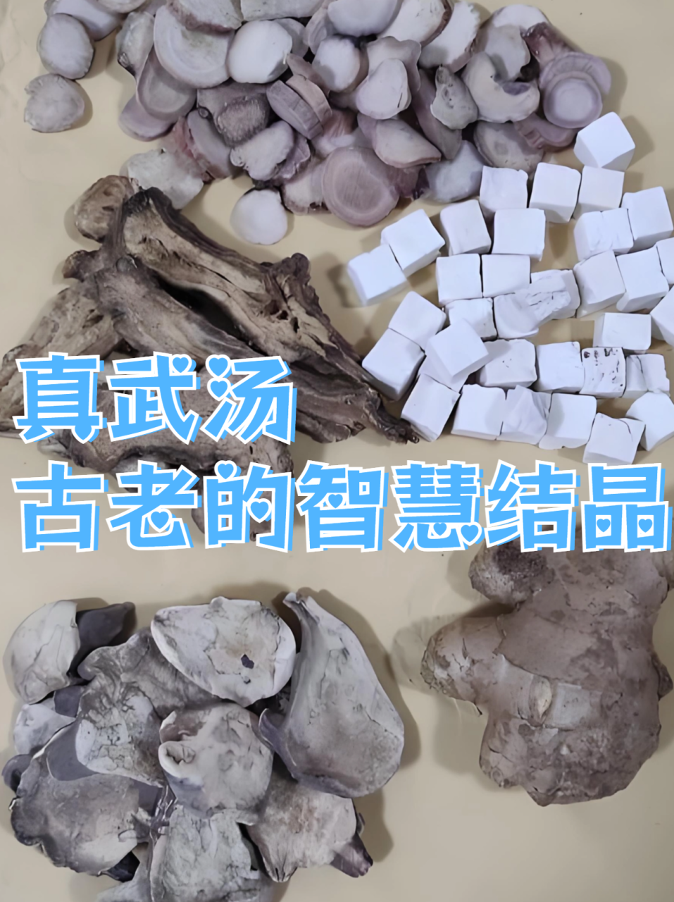 真武汤在现代的应用