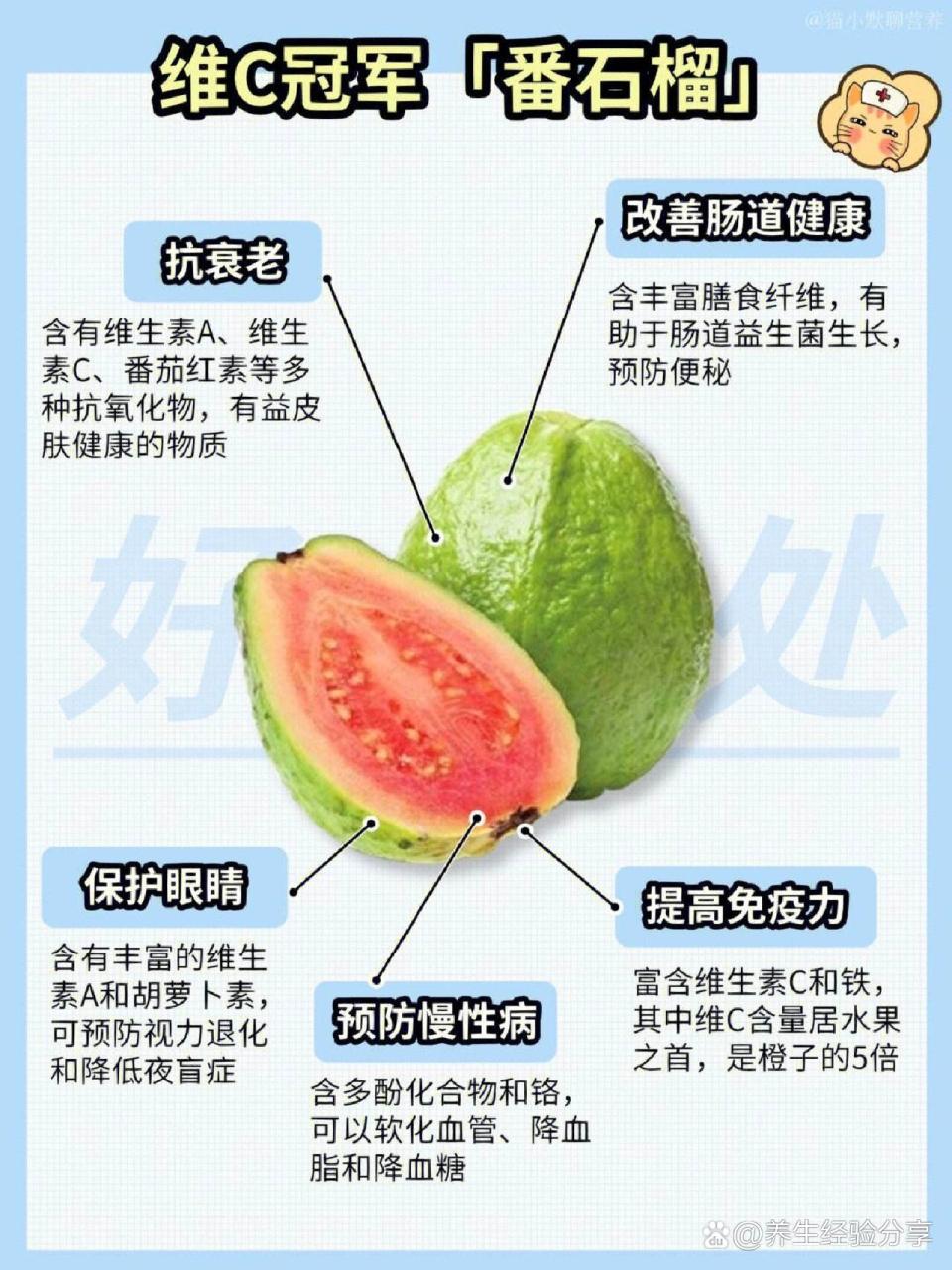 促进消化的天然良伴