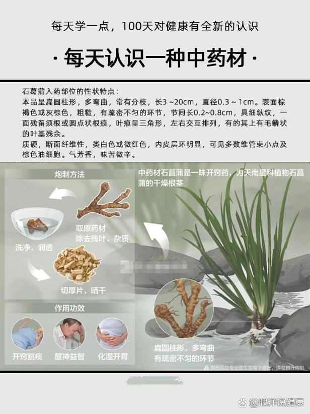 自然的力量不容忽视