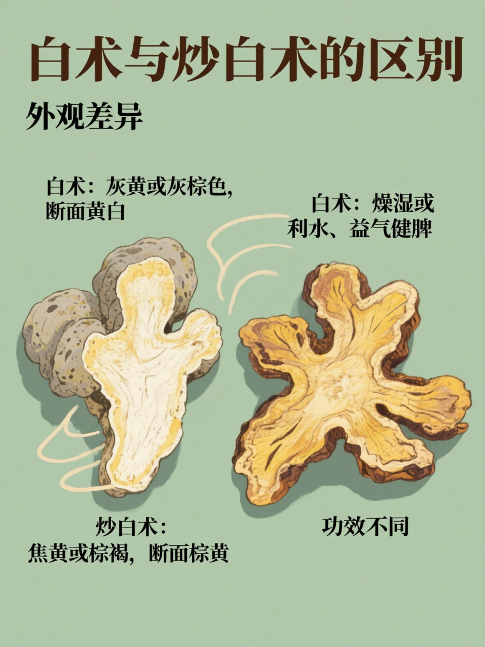 现代生活中的实用价值