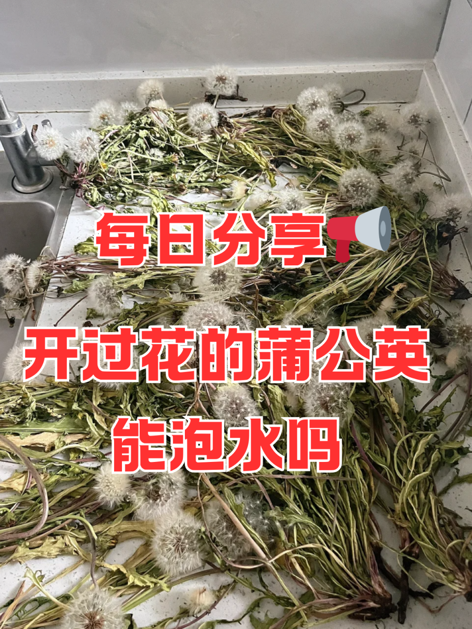 正确的使用方法