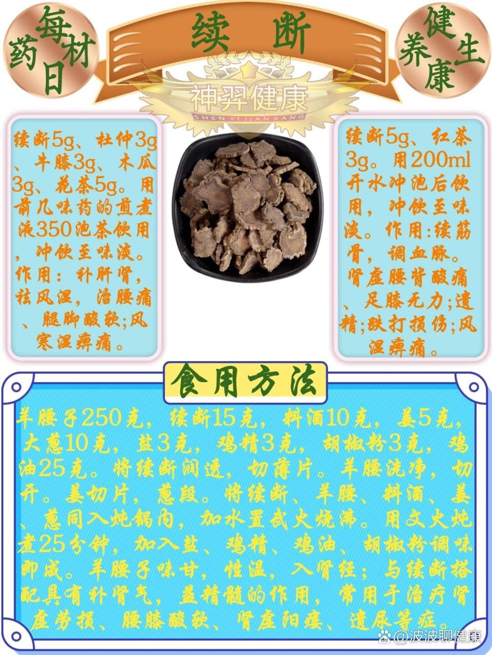 常见用途与使用方法