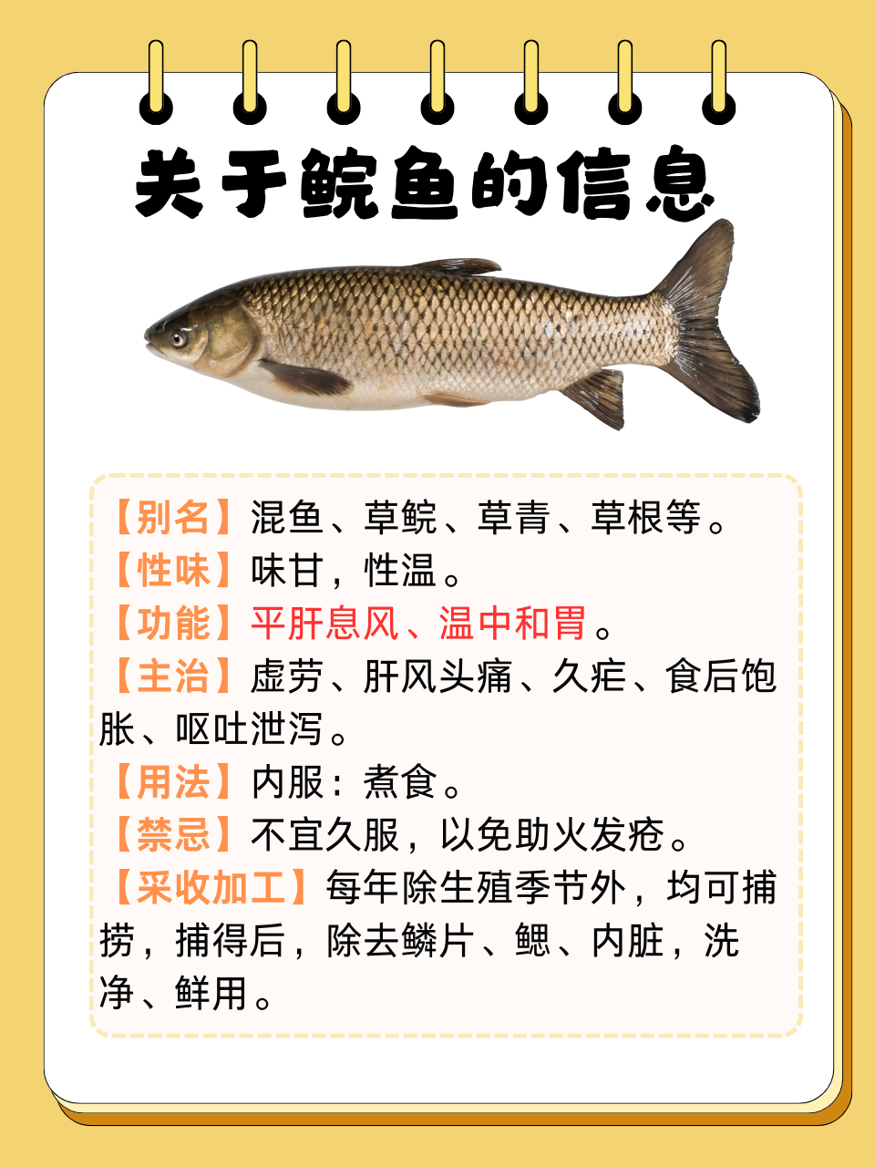 适合人群与注意事项