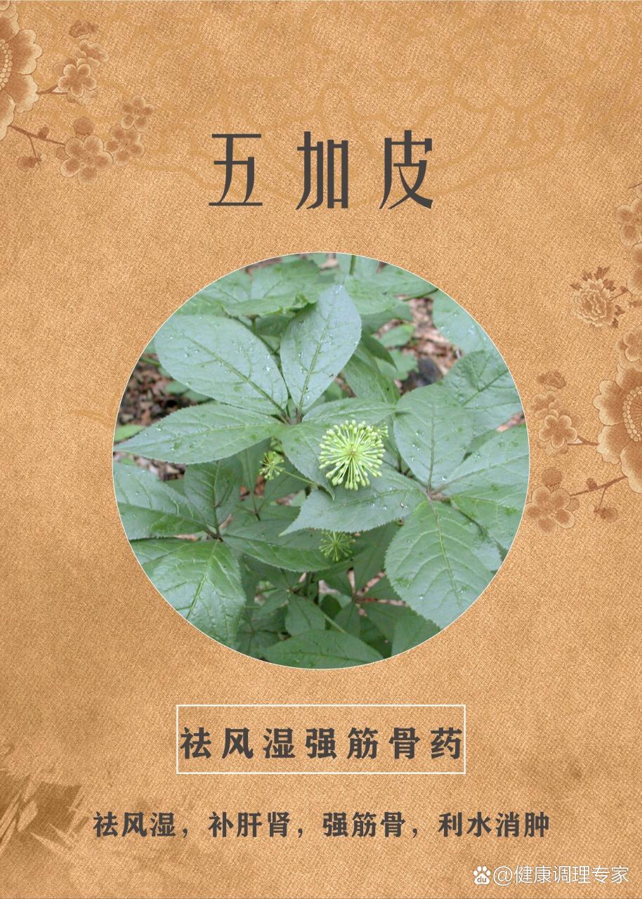 注意事项与使用建议