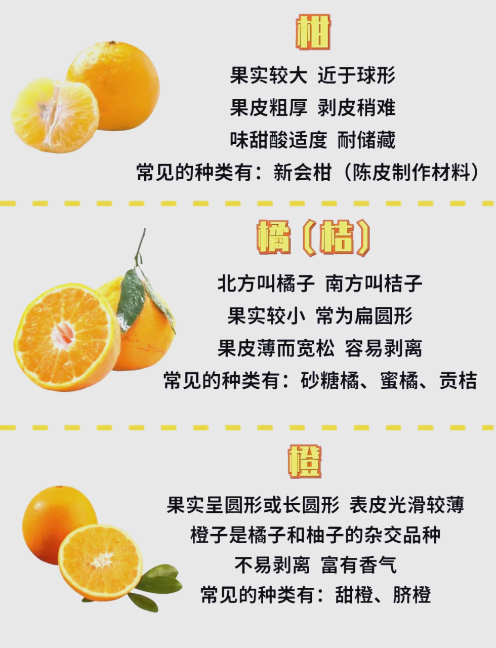维护心脑血管疾病,预防传染病