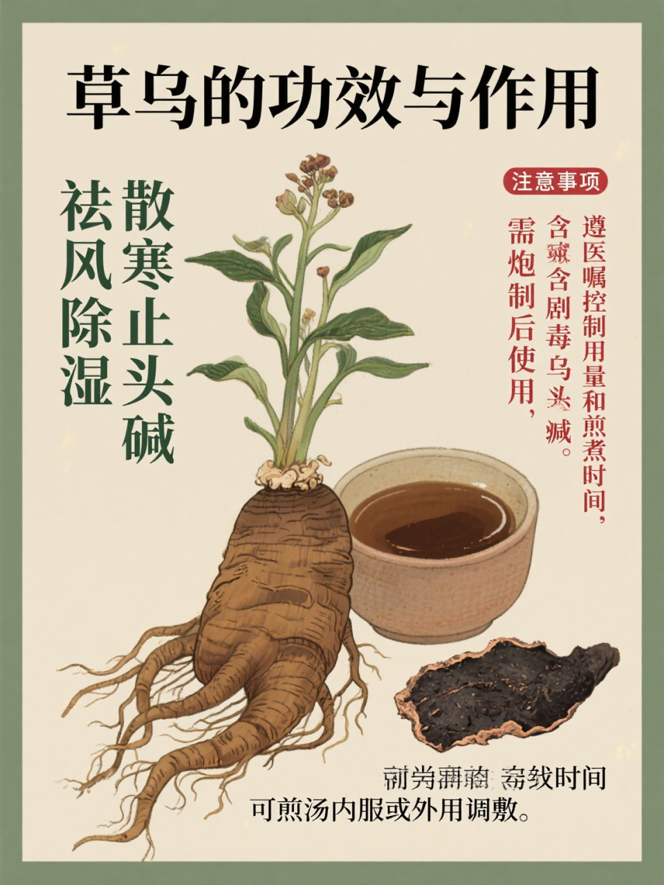 合理使用,发挥草乌的最大价值