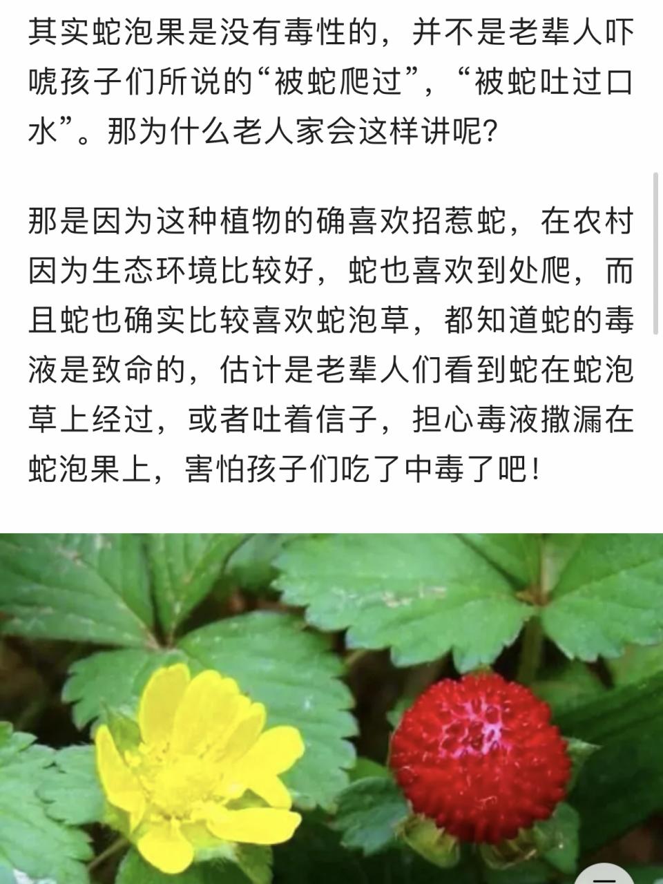 对健康有哪些益处?