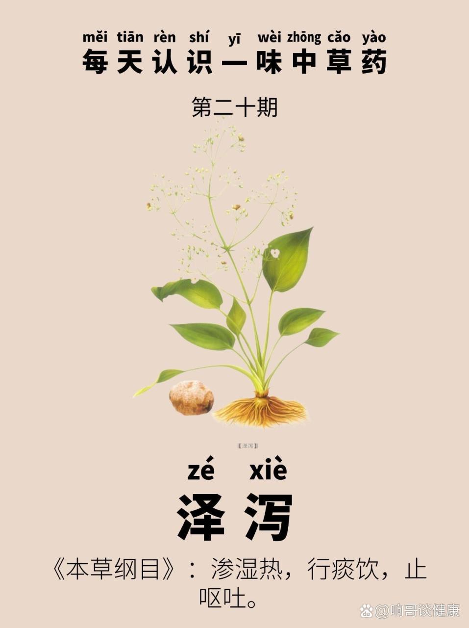 促进消化与排毒