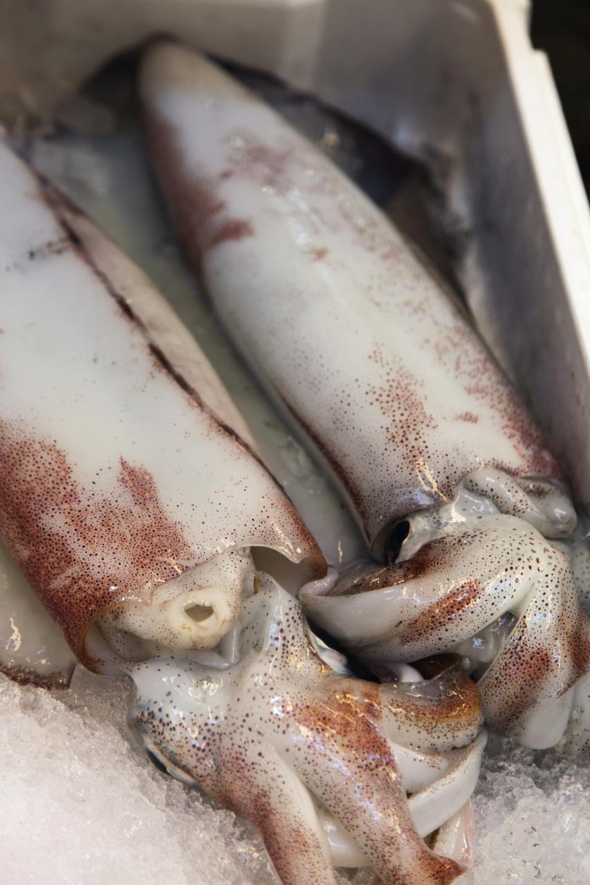 含有丰富的微量元素