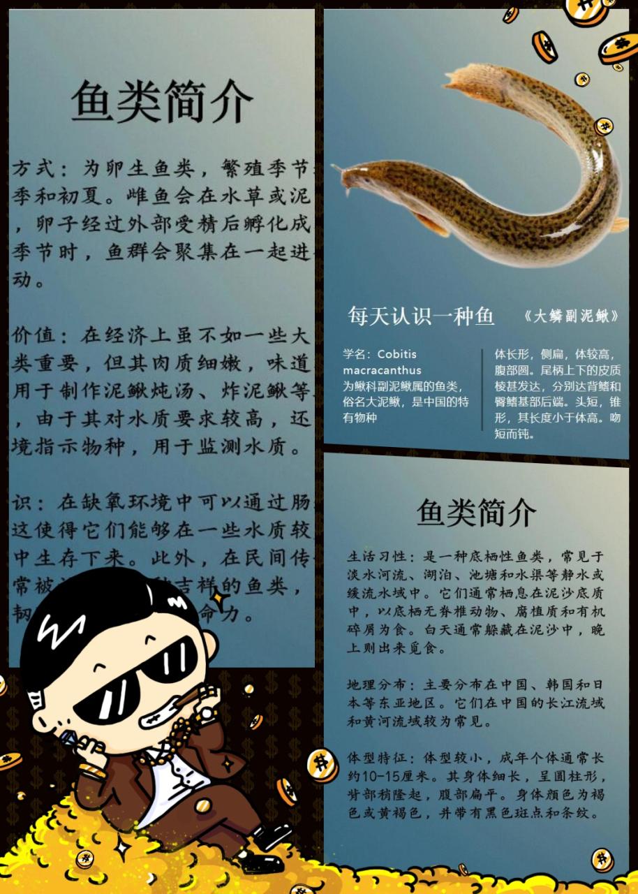 适合哪些人群食用?