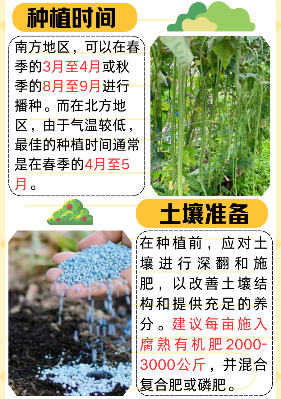 功效多多,适合日常食用