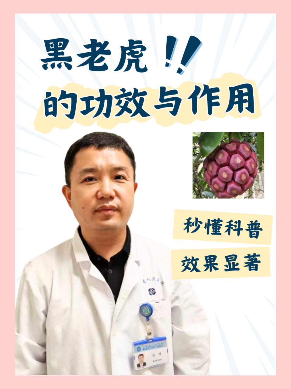 黑老虎在日常健康保健之中有着不同的作用。能促进血液循环,改善手脚冰凉、气血受阻等诸多问题。与此同时,它还具有一定的抗感染作用,对一些漫性炎性疾病也是有临床治疗作用。非常适合中老年和久坐不动的群体。