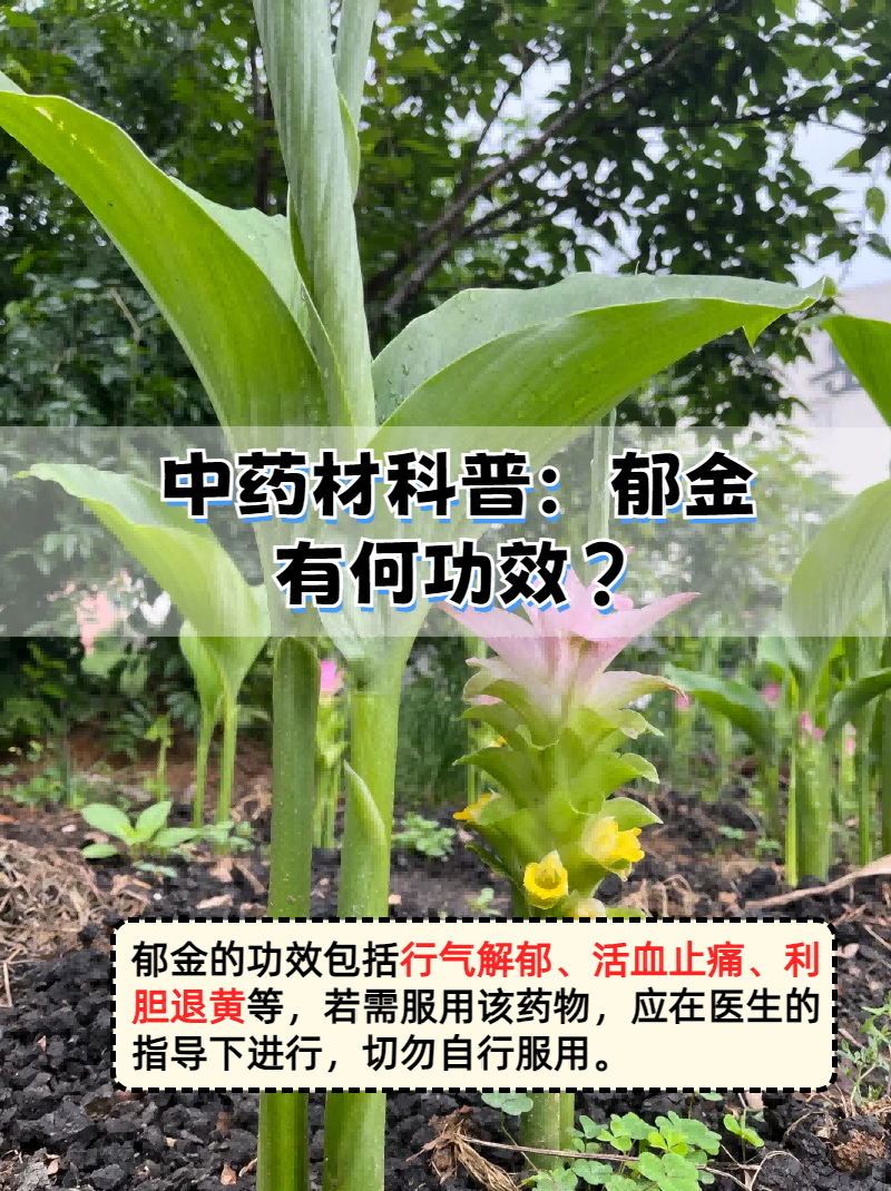 日常保健的小贴士