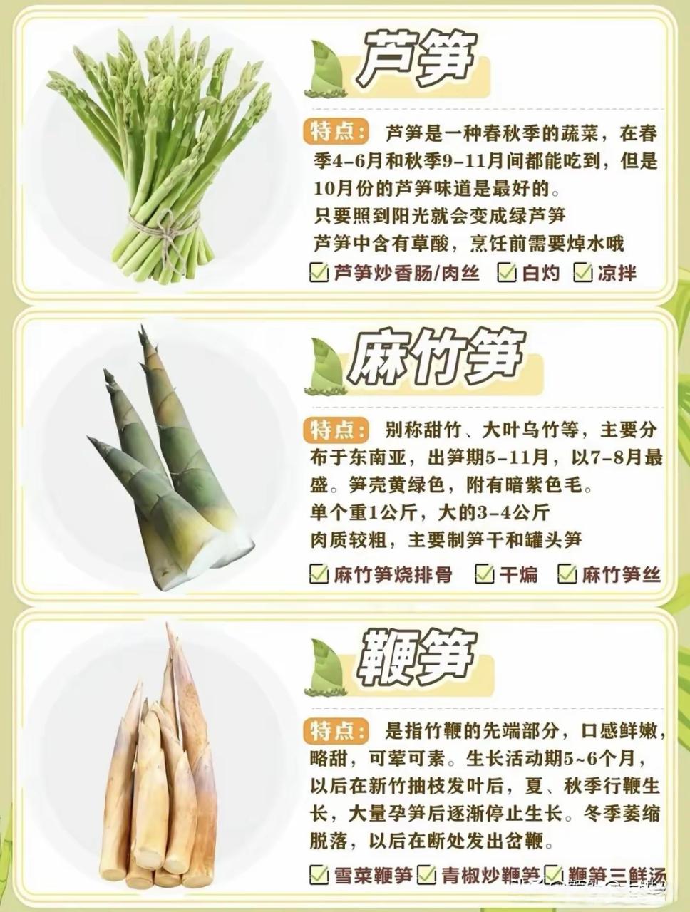 春天正是吃笋的好时节