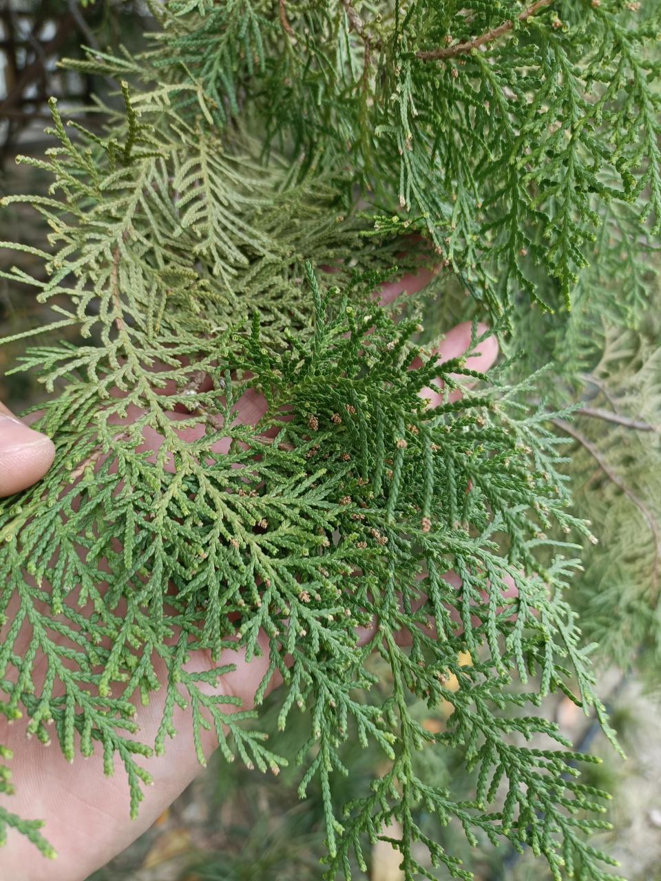 实用的使用方法推荐